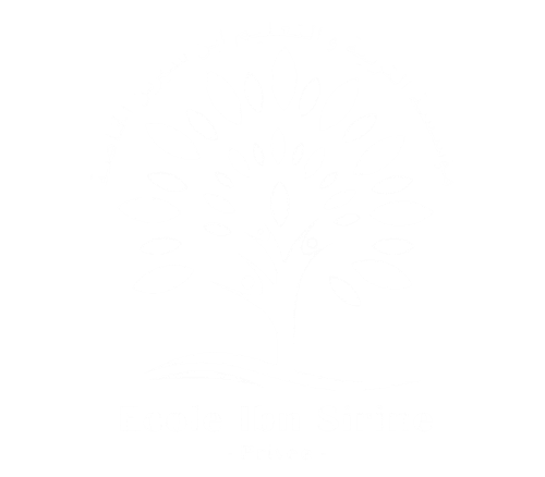 École IBN SIRINE